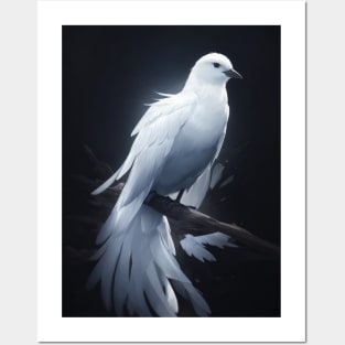Fantasy White Pigeon Posters and Art